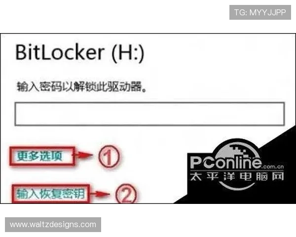 凯发娱乐在线登录账号密码忘记怎么办？详细找回流程让您轻松恢复账号